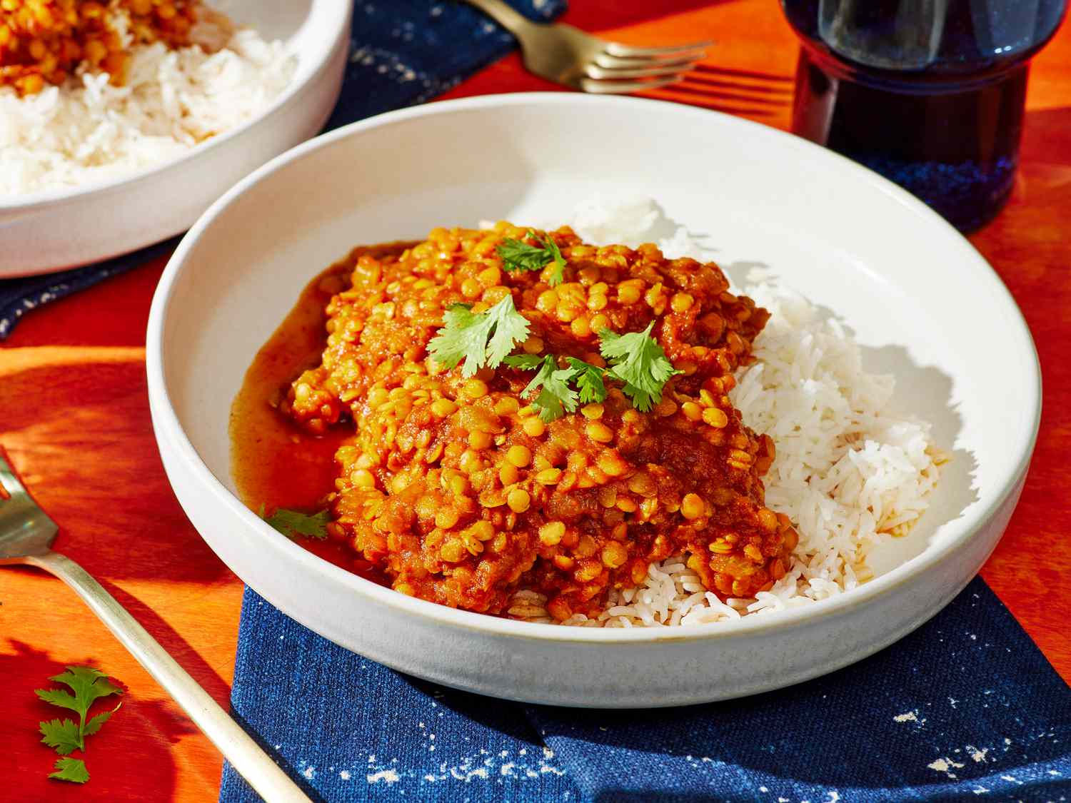 Creamy Red Lentil Curry Stew