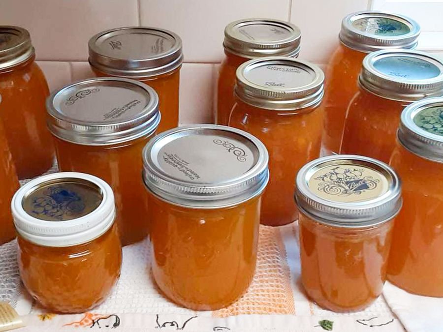 Nectarine Preserve